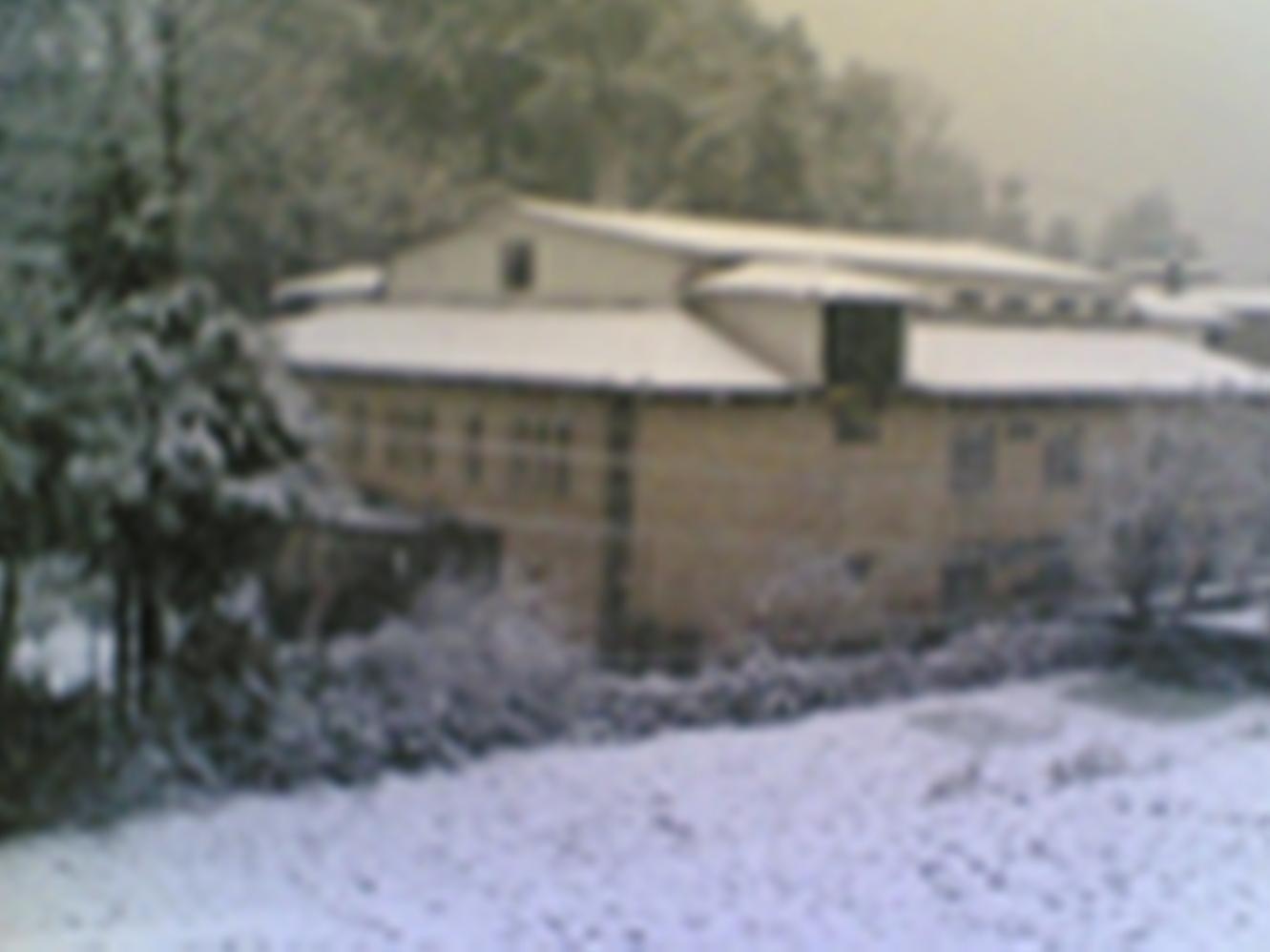 Langdale Manor Hotel Nainital Ngoại thất bức ảnh